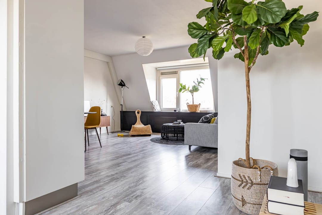 Foto 22 van Scheltemaheerd 100