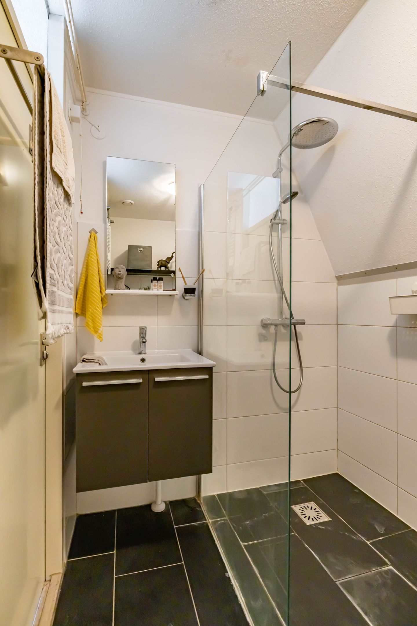 Foto 29 van Scheltemaheerd 100