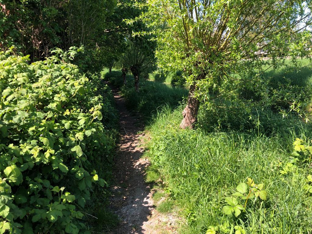 Bekijk foto 3 van Perceel bij Vermeulenlaan (natuur)