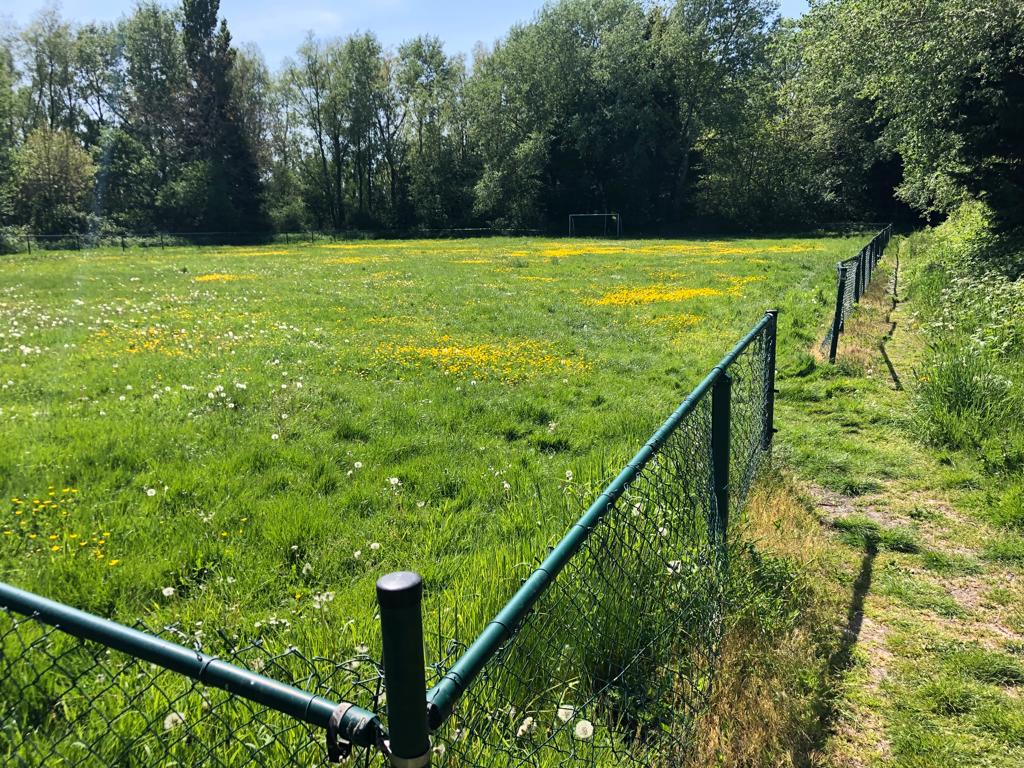 Bekijk foto 5 van Perceel bij Vermeulenlaan (natuur)