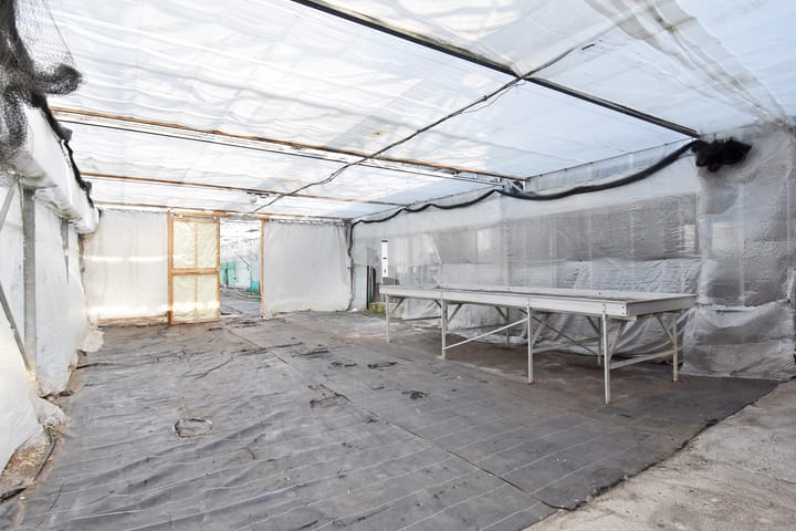 Foto 50 van Delftsestraatweg 50