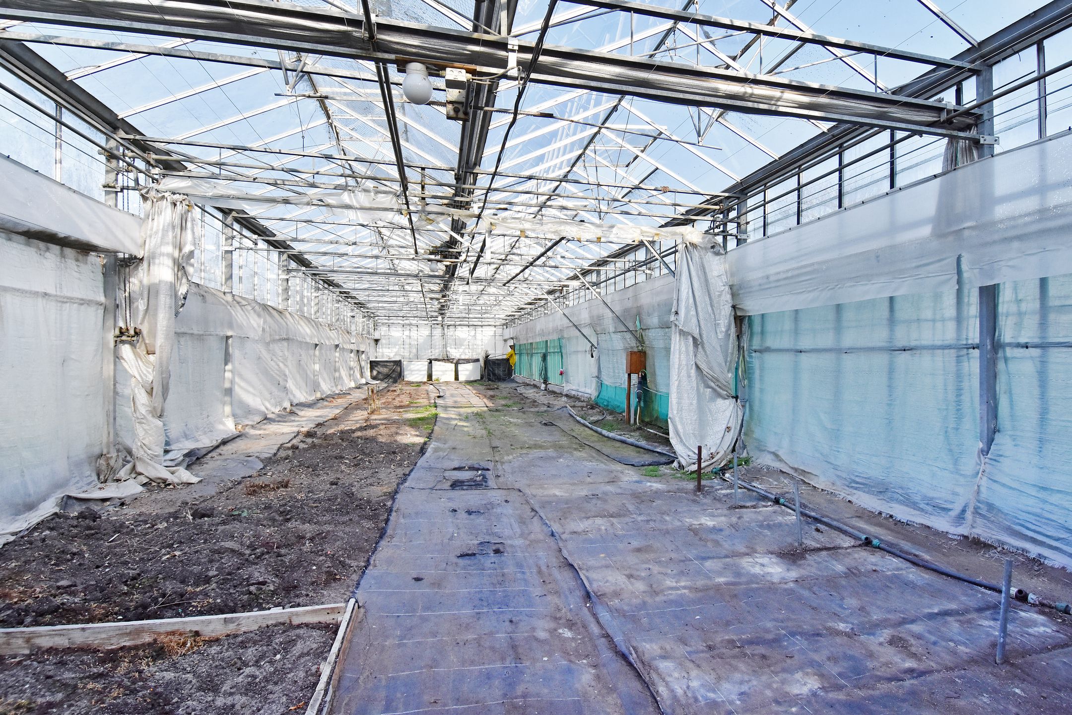 Foto 51 van Delftsestraatweg 50