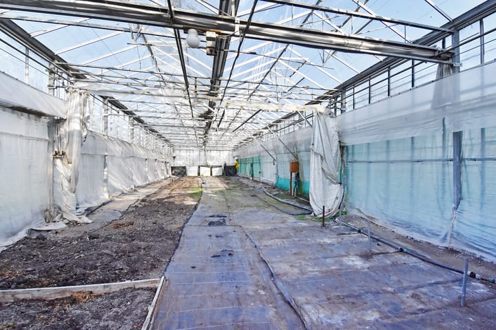 Foto 51 van Delftsestraatweg 50