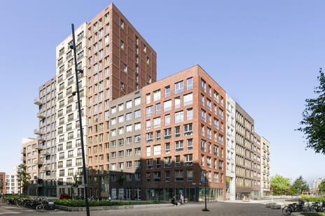 Yours - Callisto main image