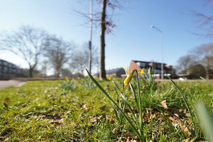 Foto 42 van Westrak 67