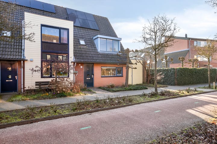 Foto 38 van Pijpestrootje 39