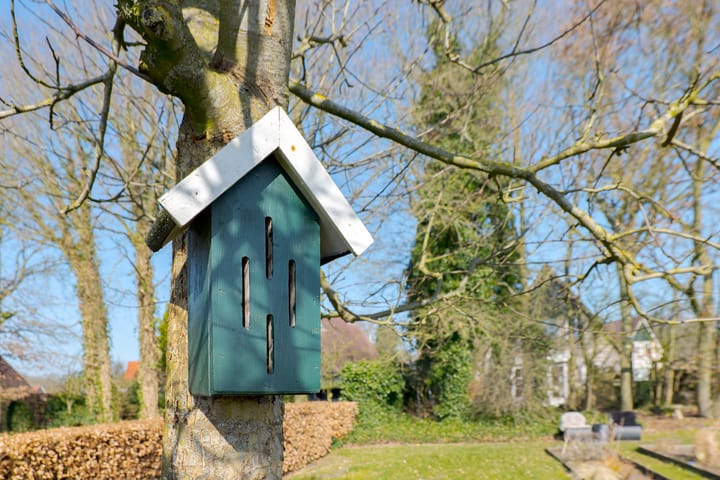 Foto 53 van Warmenbossenweg 3-12