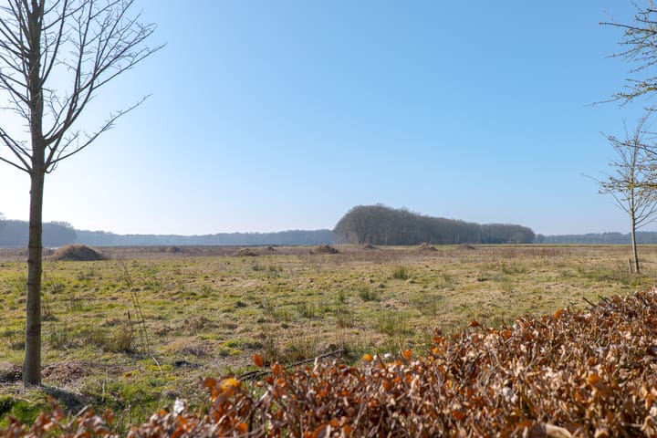 Foto 54 van Warmenbossenweg 3-12