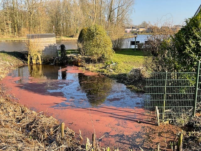 Foto 21 van Froskepôlle 9