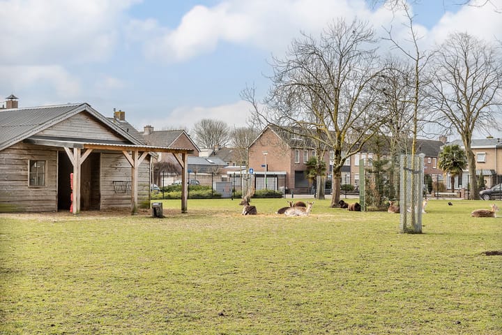 Foto 36 van Hyacinthstraat 5