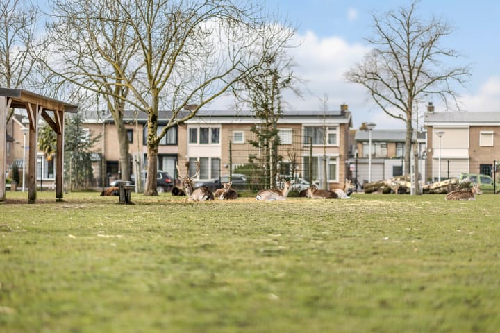 Foto 37 van Hyacinthstraat 5