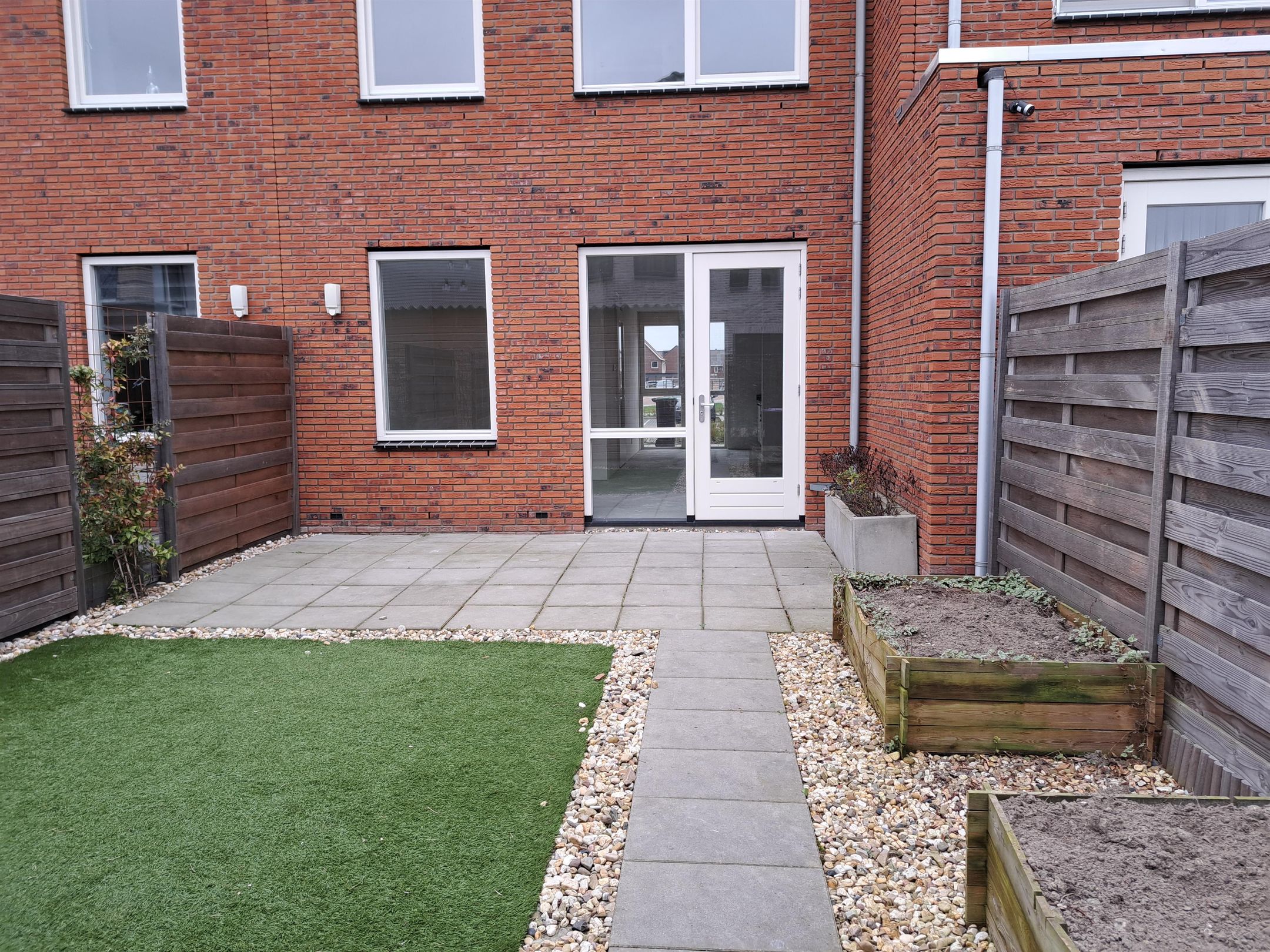 Foto 12 van Suikerpeer 26