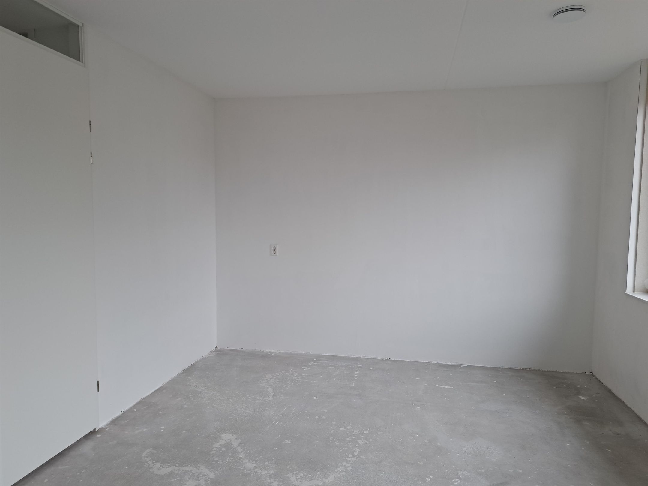 Foto 24 van Suikerpeer 26