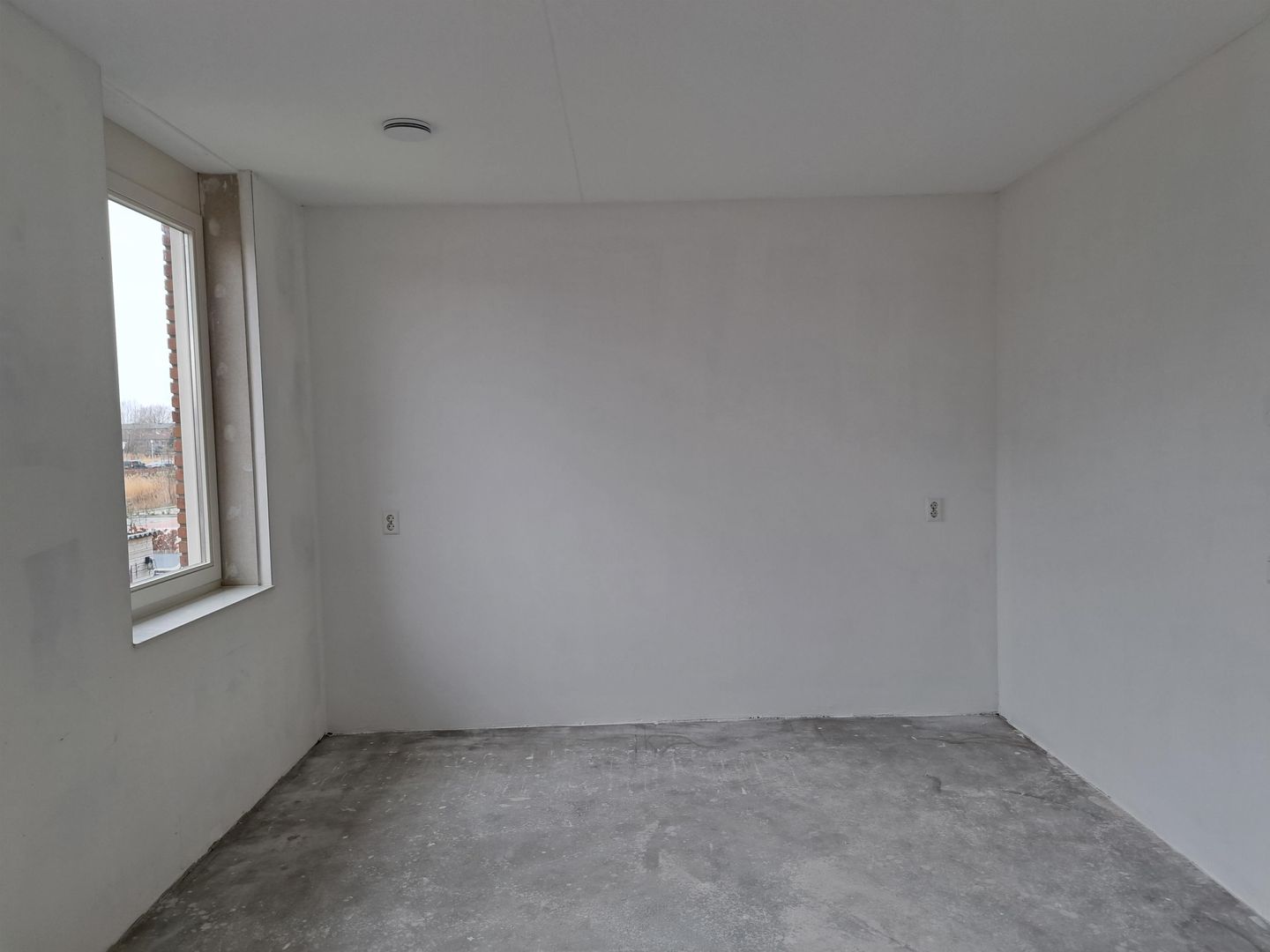 Foto 25 van Suikerpeer 26