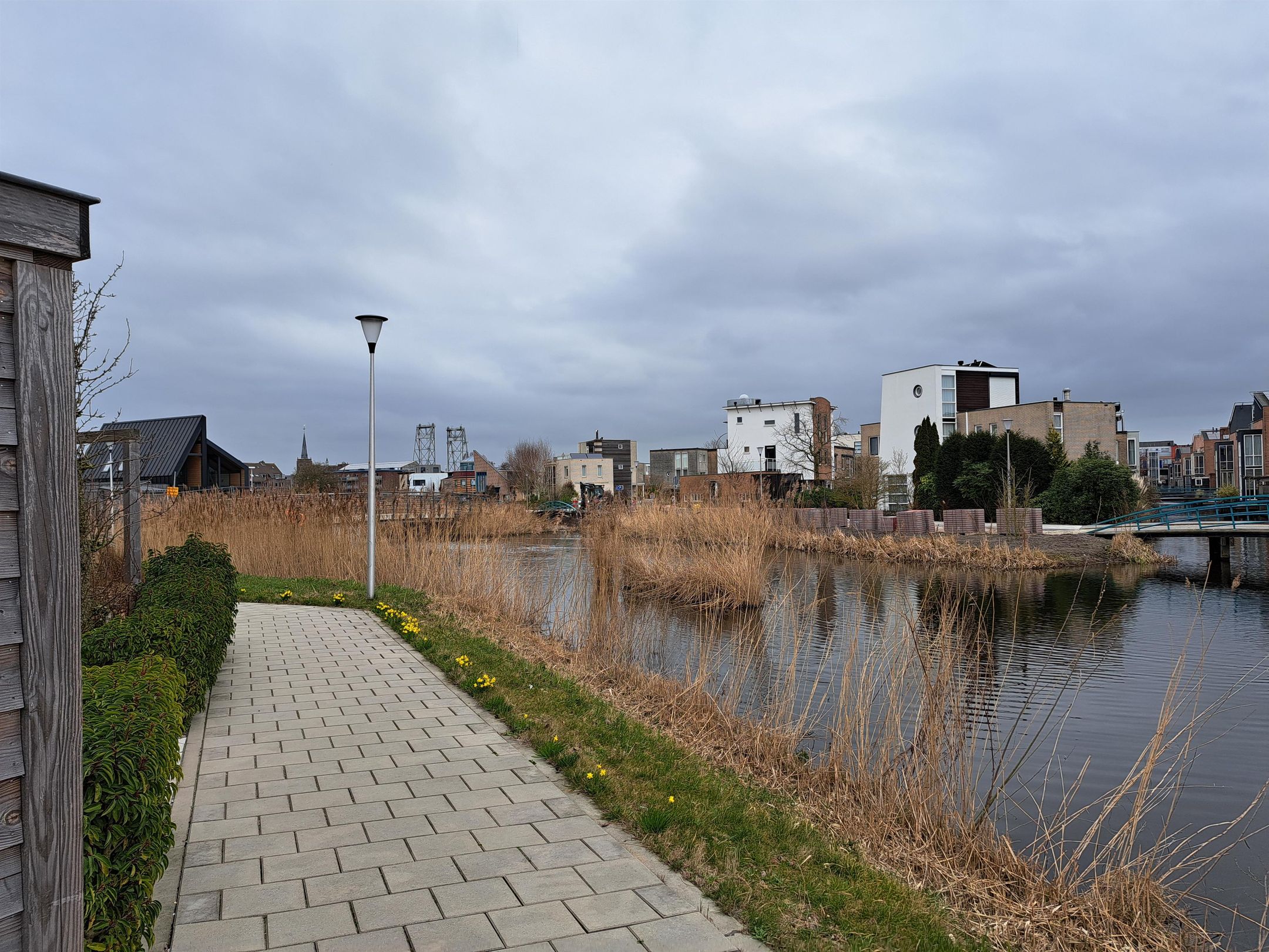 Foto 36 van Suikerpeer 26