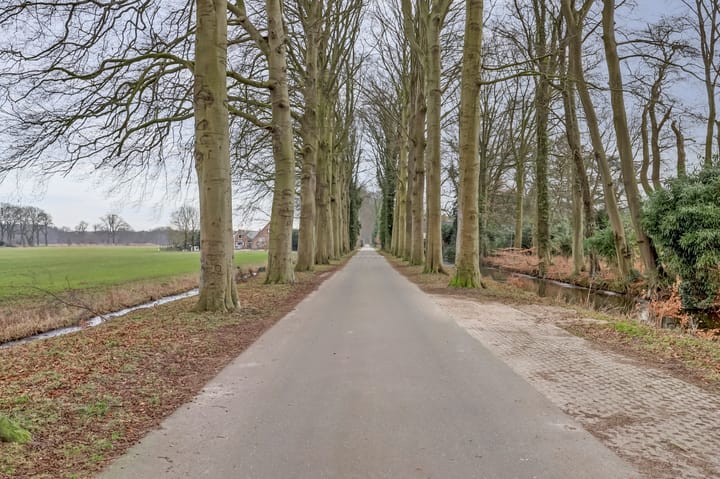 Foto 46 van Noordereinde 223