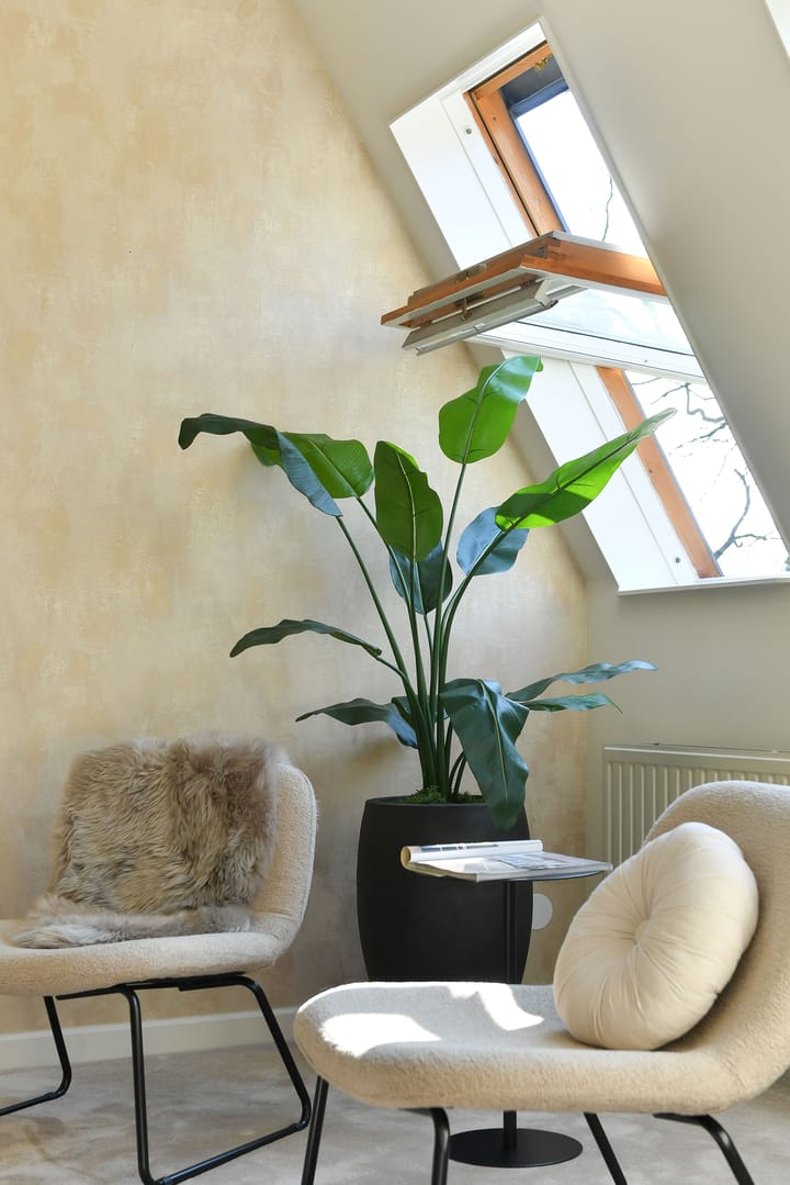 Foto 16 van Jan van Riebeeckweg 19