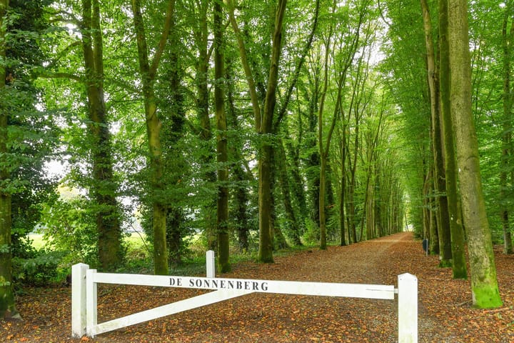 Foto 34 van Jan van Riebeeckweg 19