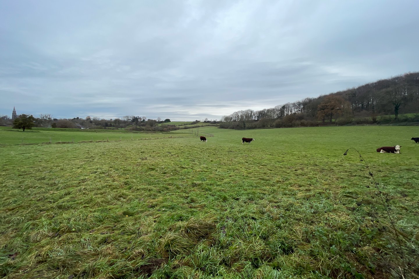 Bekijk foto 3 van Groenenweg