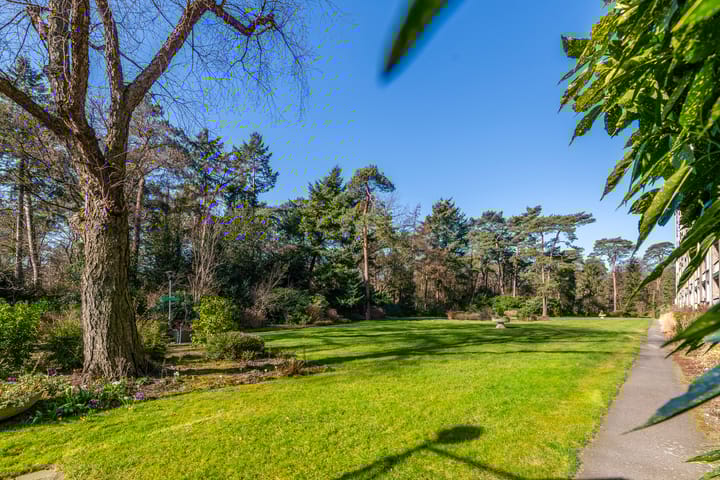 Foto 3 van Arnhemse Bovenweg 16-46