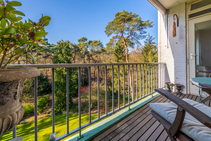 Foto 22 van Arnhemse Bovenweg 16-46