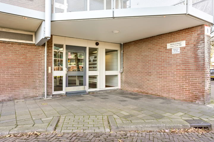 Foto 5 van Merelstraat 79