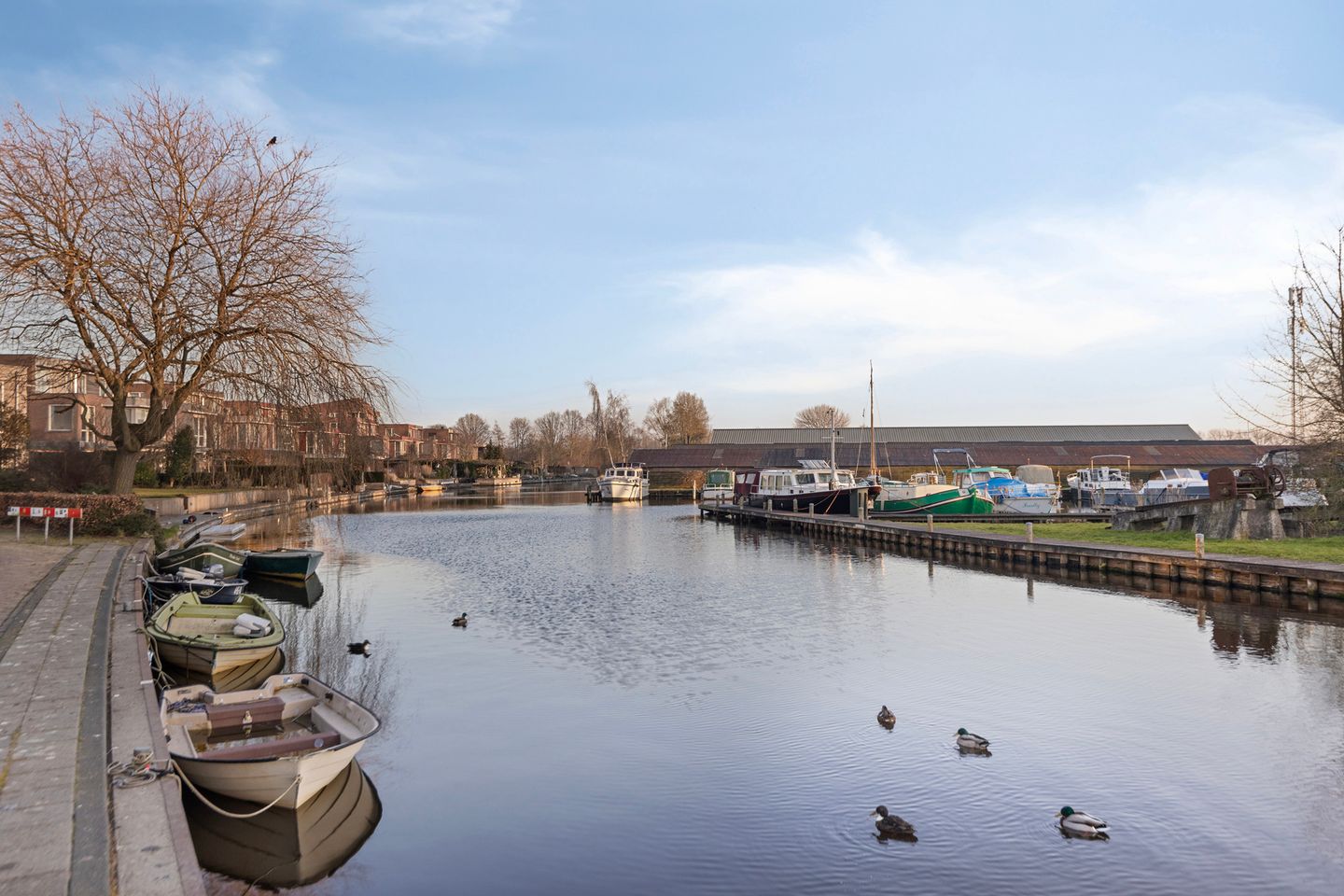 Foto 35 van de Bourbonstraat 40