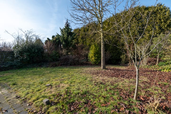 Photo 35 of Berkenstraat 13