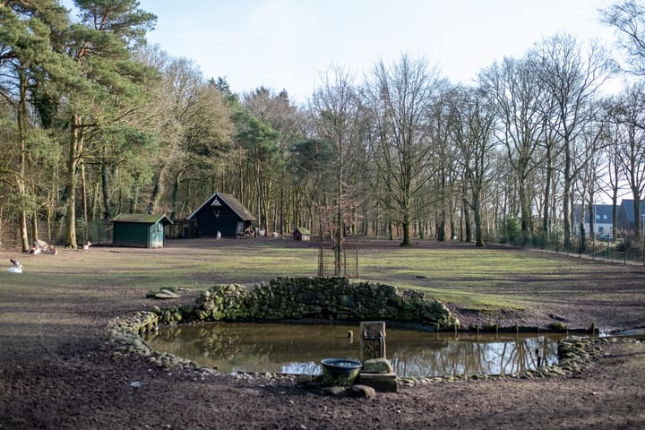 Photo 39 of Berkenstraat 13