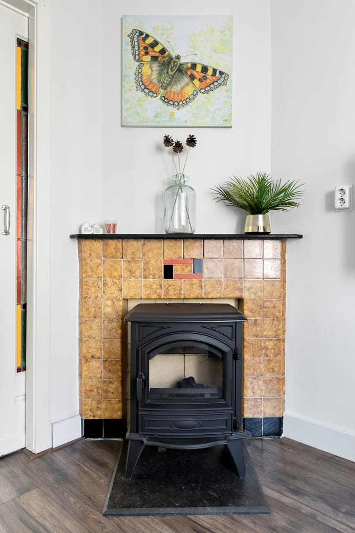 Photo 12 of Ferdinand Bollaan 8