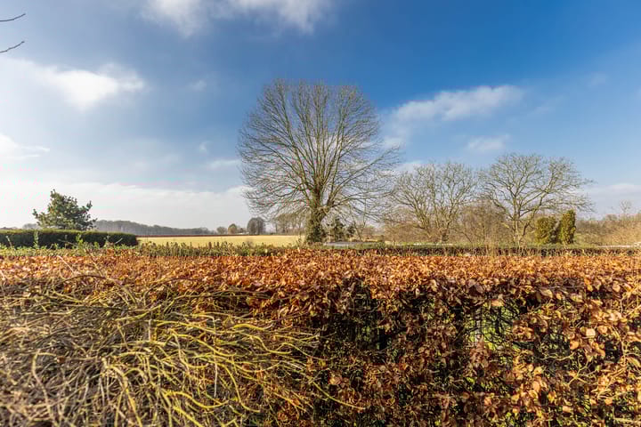 Foto 58 van Het Einde 6