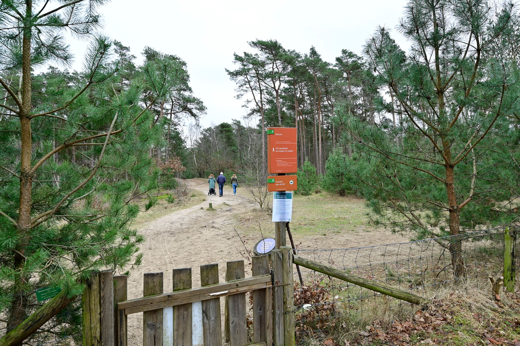 Photo 27 of Grevenhout 21-311