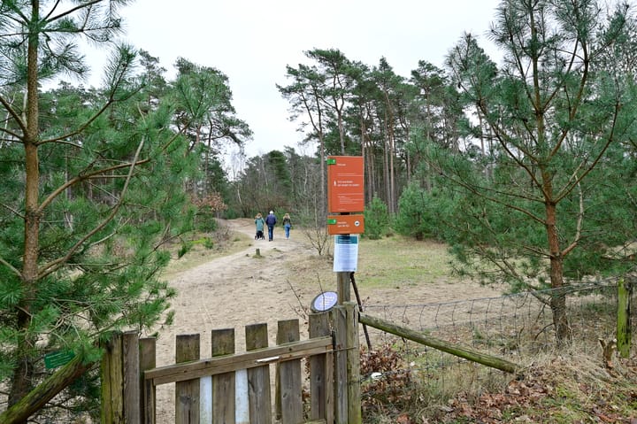 Foto 27 van Grevenhout 21-311