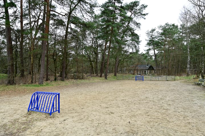 Foto 26 van Grevenhout 21-311