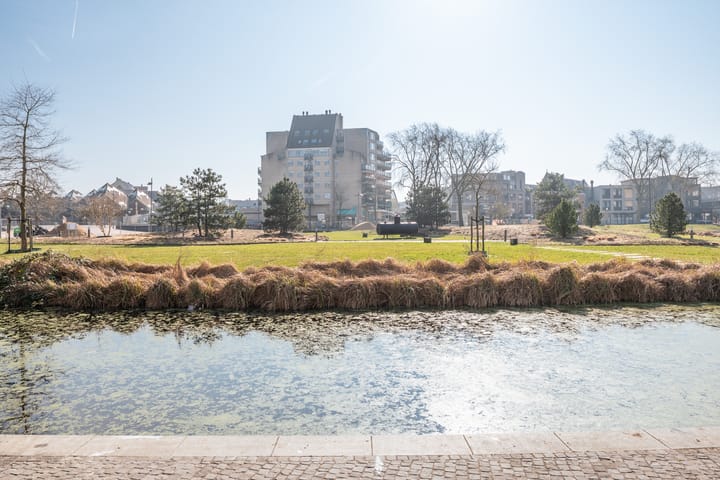 Foto 27 van de Elzas 705