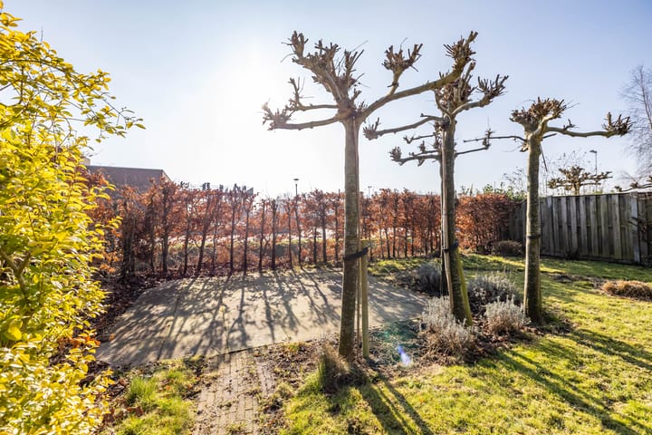 Foto 37 van Alida Pottstraat 11