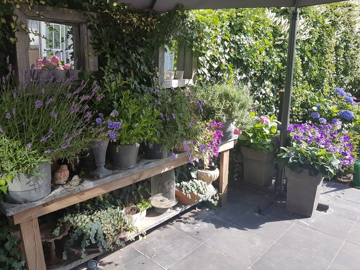 Photo 51 of Auvergnelaan 41