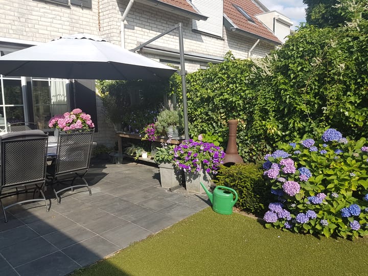 Photo 52 of Auvergnelaan 41