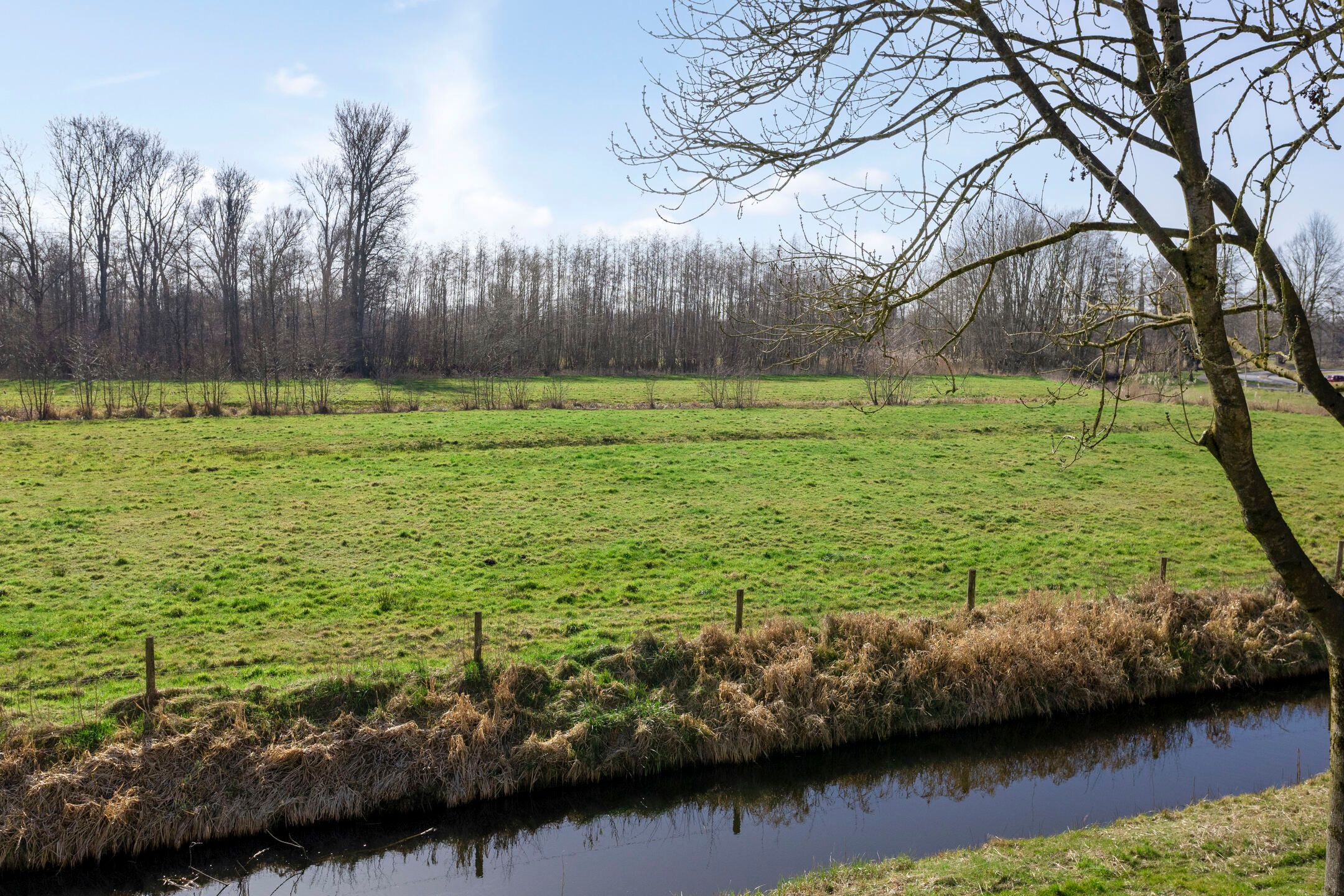 Foto 42 van Hagenstein 124