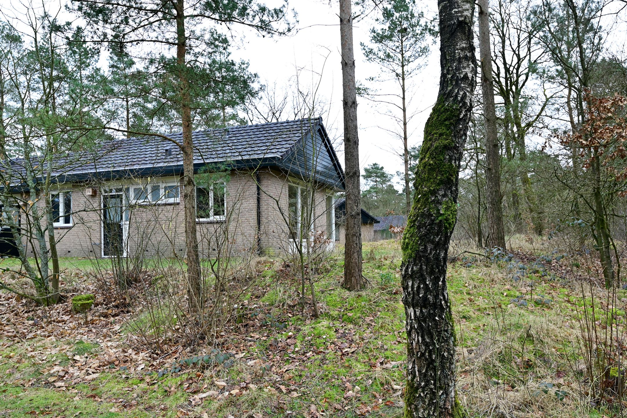 Photo 21 of Grevenhout 21-312