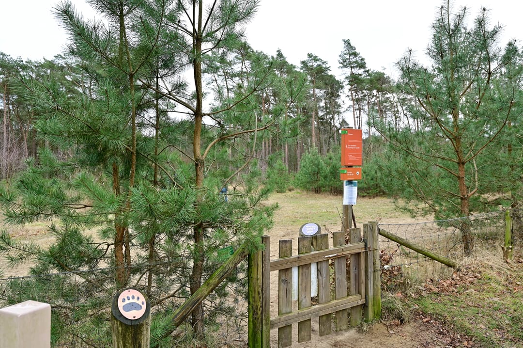 Photo 22 of Grevenhout 21-312