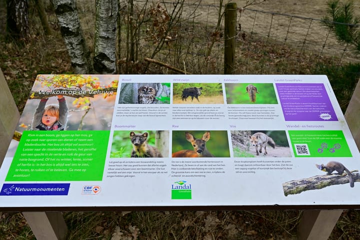 Foto 24 van Grevenhout 21-312