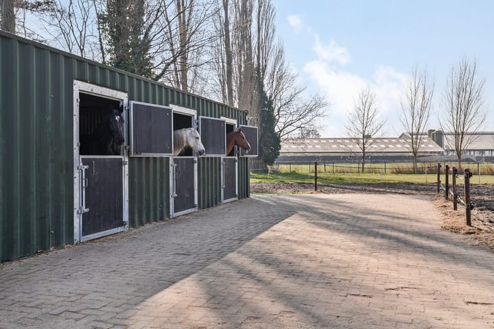 Photo 46 of Hoogstraat 20