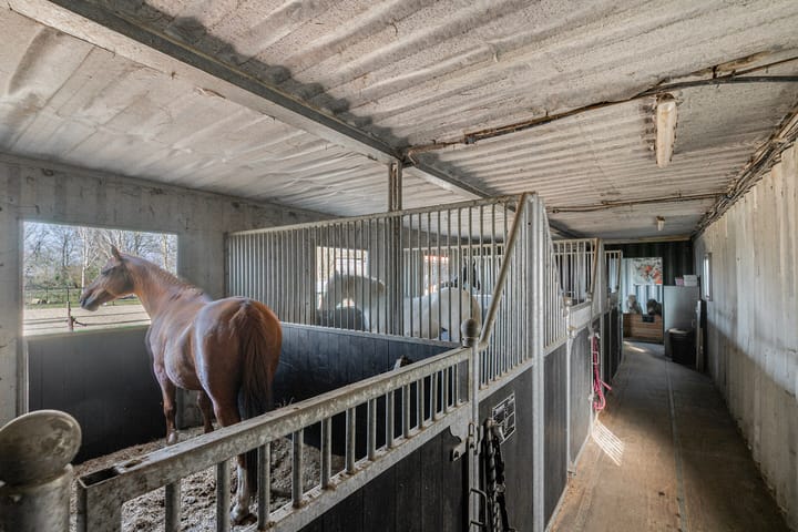 Photo 49 of Hoogstraat 20