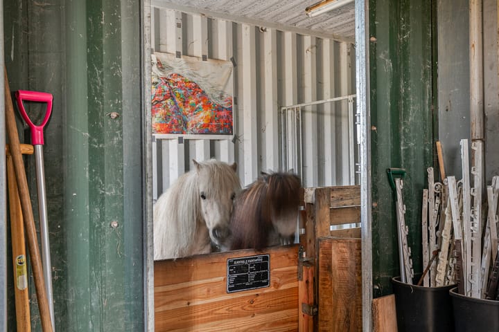 Photo 51 of Hoogstraat 20