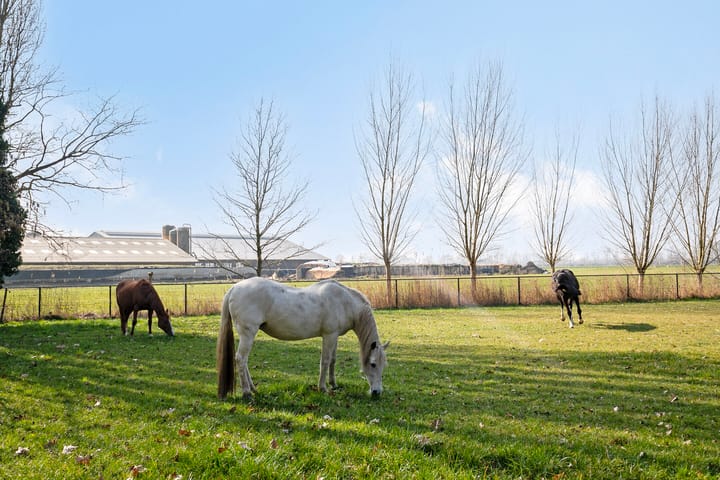 Photo 57 of Hoogstraat 20