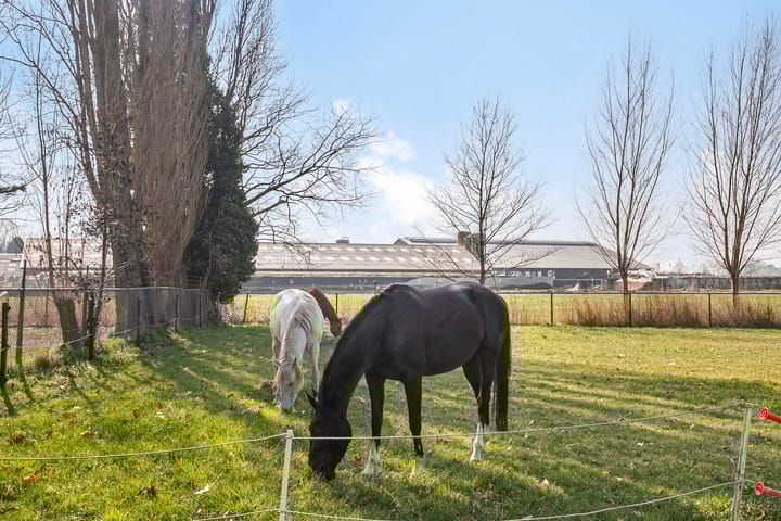 Photo 58 of Hoogstraat 20