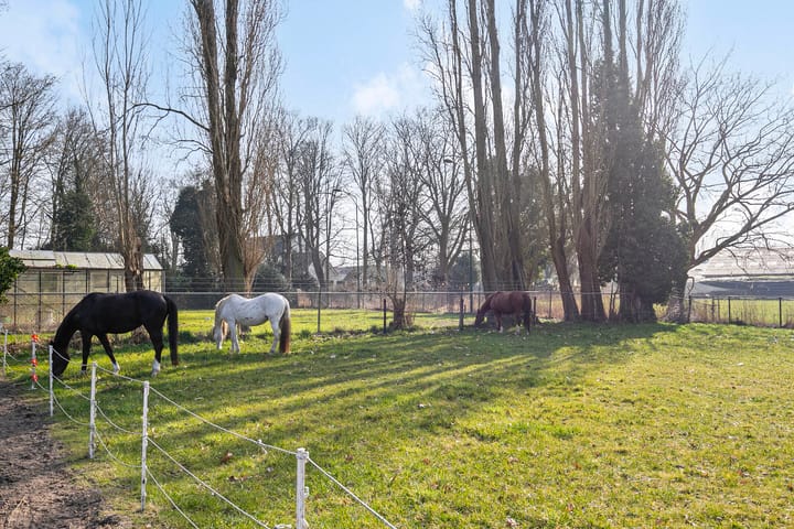 Photo 59 of Hoogstraat 20