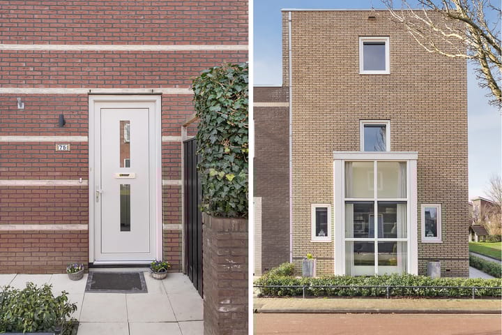 Foto 7 van Citroenvlinder 75