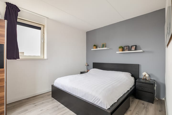 Foto 38 van Citroenvlinder 75